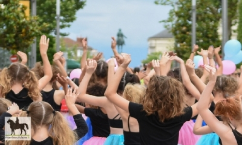 La Roche-sur-Yon. COLORS 2023 : LE PROGRAMME.