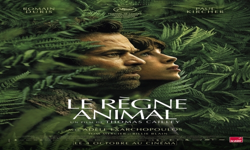 Ciné de plein air : vote des jeunes pour le film du 28 juin à La Roche-sur-Yon
