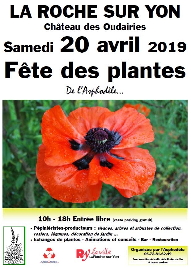 2019_affiche