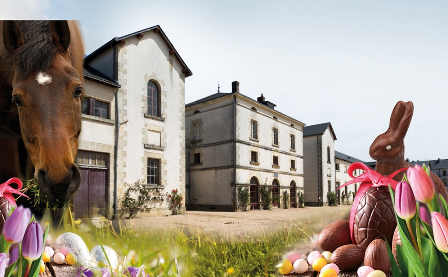 Haras-et-chocolat
