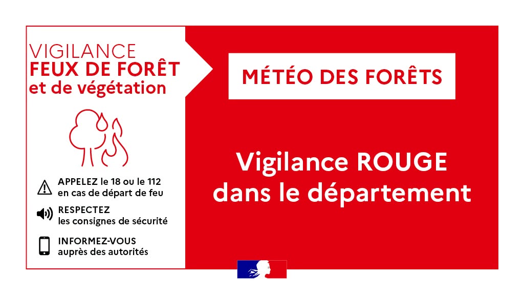 Forêt
