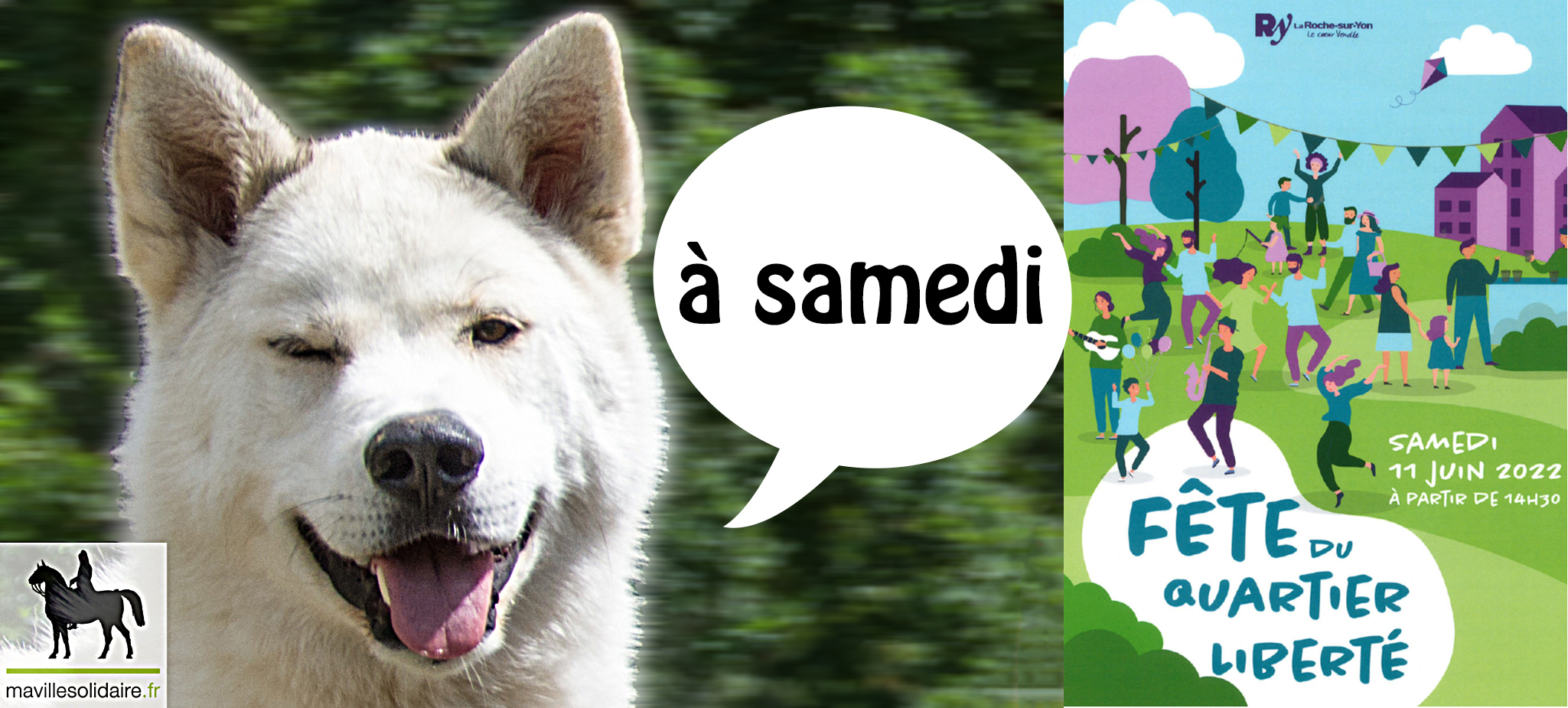 husky doggysport 85 La Roche sur Yon LRSY mavillesolidaire.fr 5 sur 8