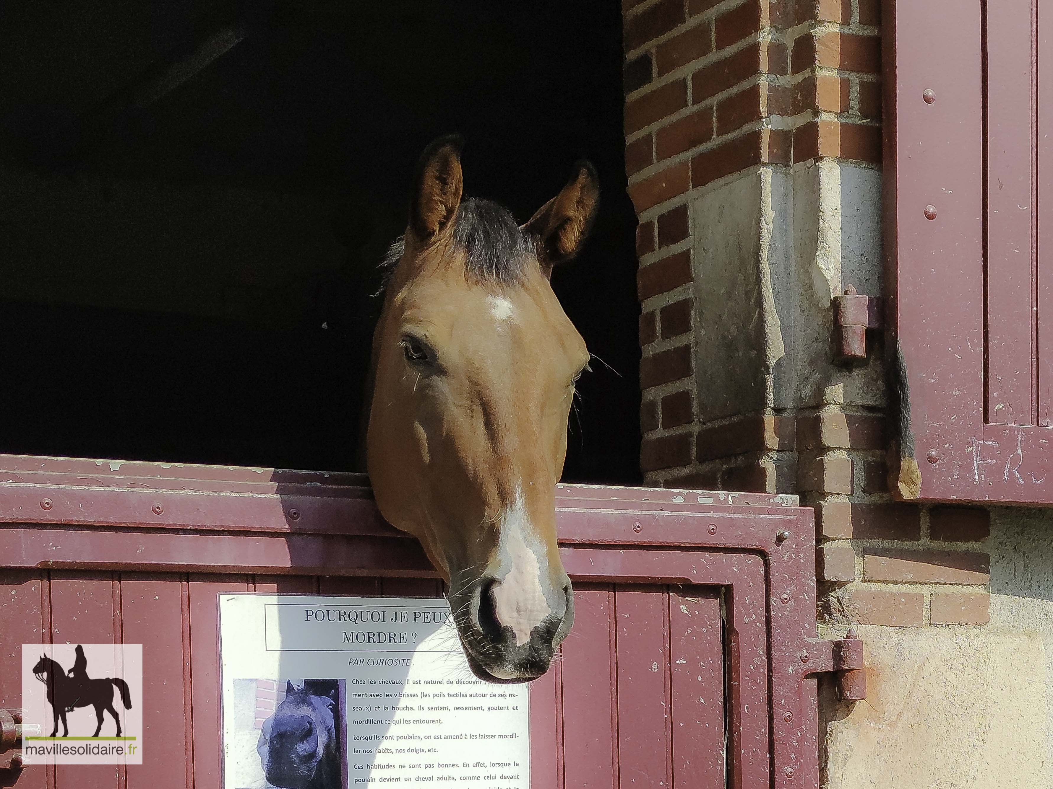 HARAS DE LA VENDEE 10