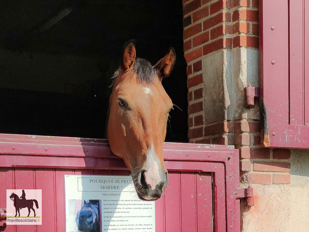 HARAS Vendée Cavalcades 10