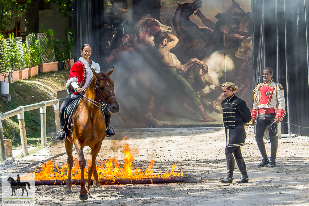 HARAS CHEVAL VENDEE LA ROCHE SUR YON 2