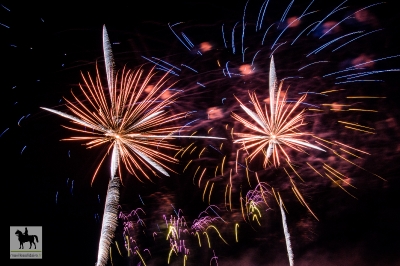 14 juillet defile 20180715 1170965640