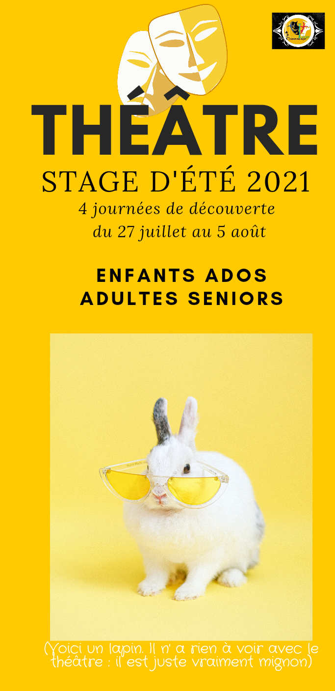 Théâtre : stage d'été 2021 du 25 juillet au 5 août. La compagnie Universalisapo