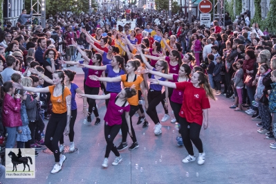 Résultat de recherche d'images pour "festival colors 2018 la roche sur yon"