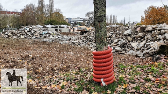 déconstruction groupe scolaire Pont Boileau 12