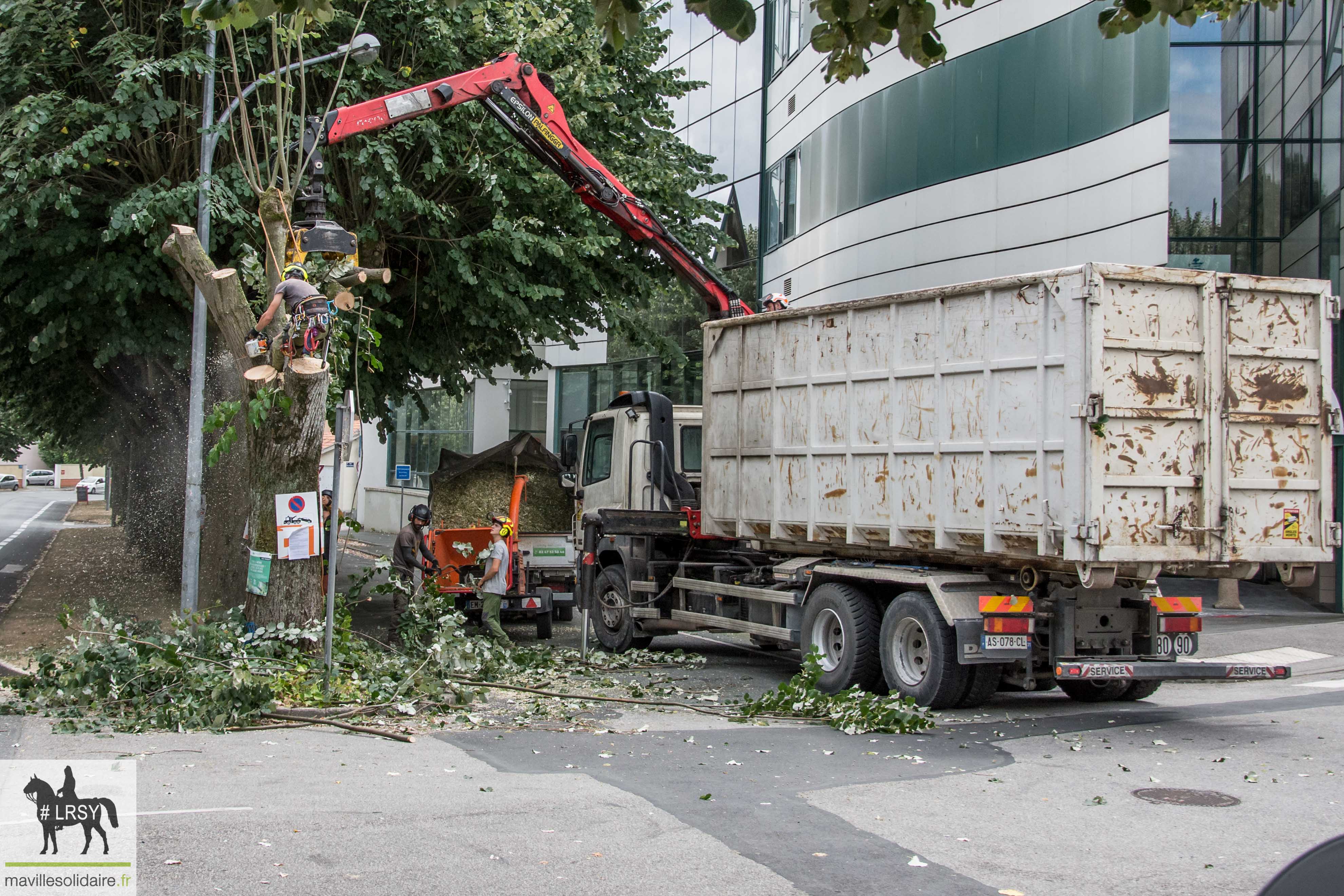 Arbre La Roche sur Yon LRSY mavillesolidaire.fr