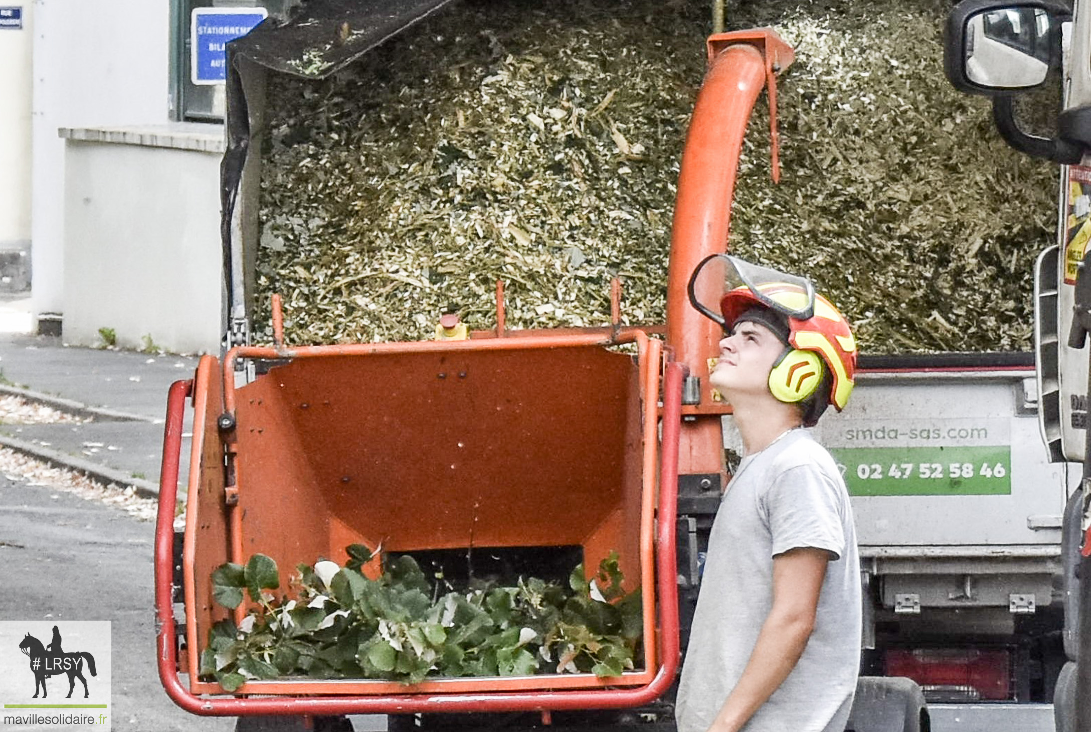 Arbre La Roche sur Yon LRSY mavillesolidaire.fr 2 2