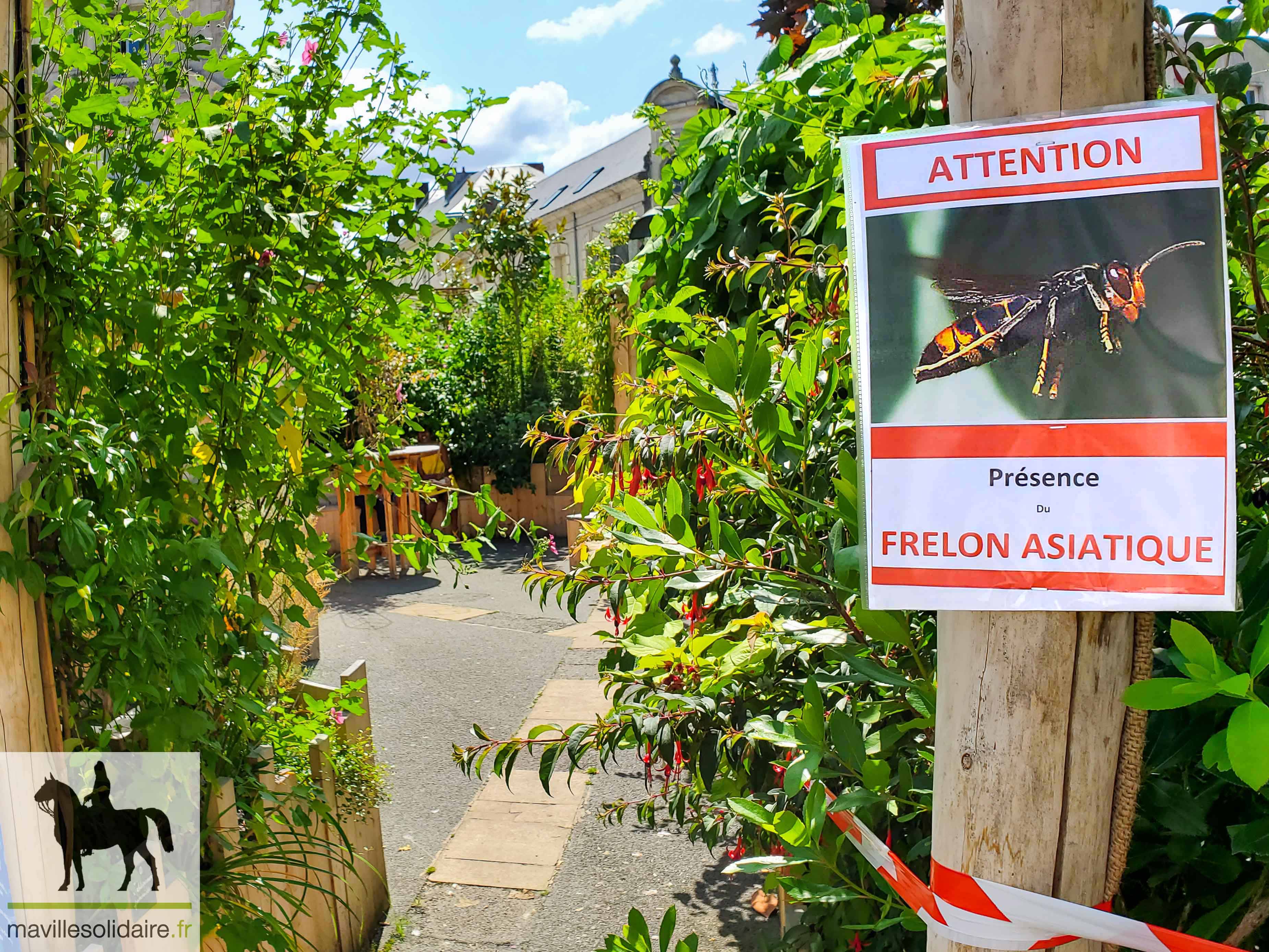 fRELONS ASIATIQUE La Roche sur yon mavillesolidaire.fr 2