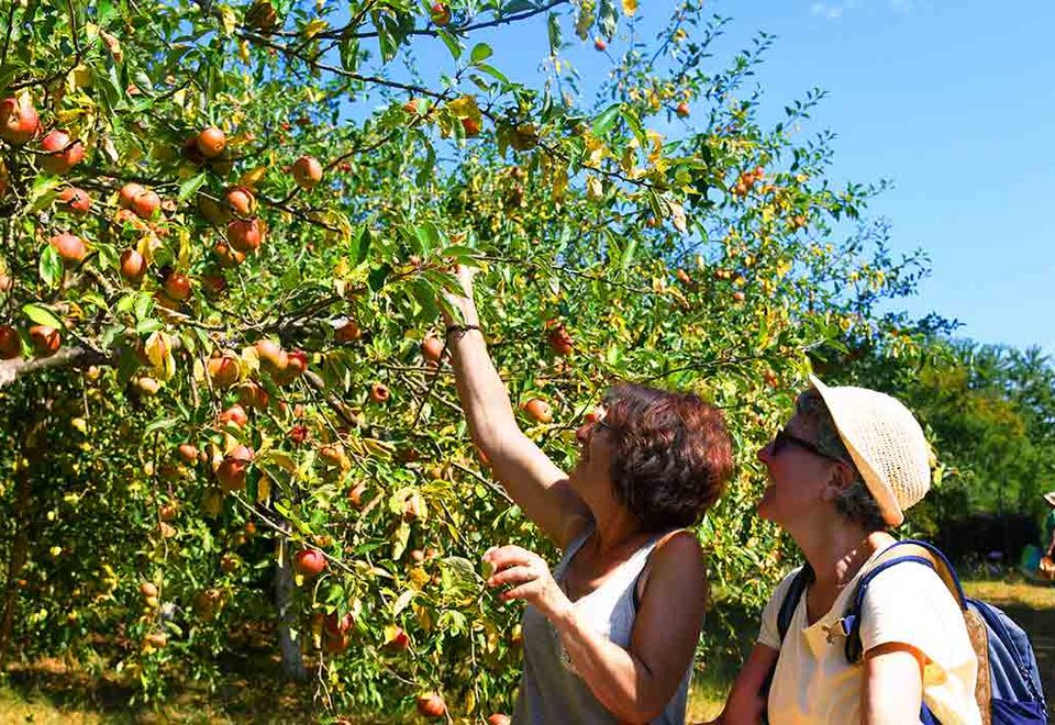 Ville nature : l’oasis de Curzais