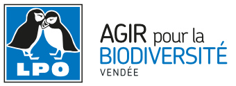 Découverte de l'asphodèle à La Roche-sur-Yon : sortie organisée par « Ma Ville Nature »