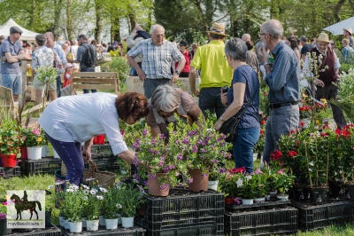 fetes de plantes 2018 la roche sur yon 20180421 1144623660