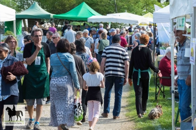 fetes de plantes 2018 la roche sur yon 20180421 1144623660