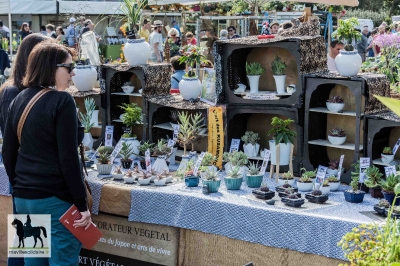 fetes de plantes 2018 la roche sur yon 20180421 1144623660