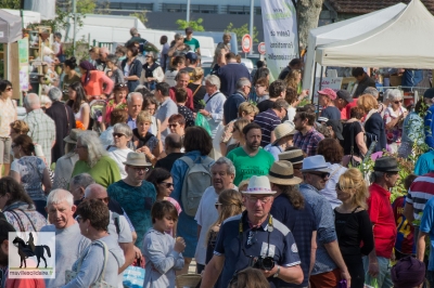 fetes de plantes 2018 la roche sur yon 20180421 1144623660