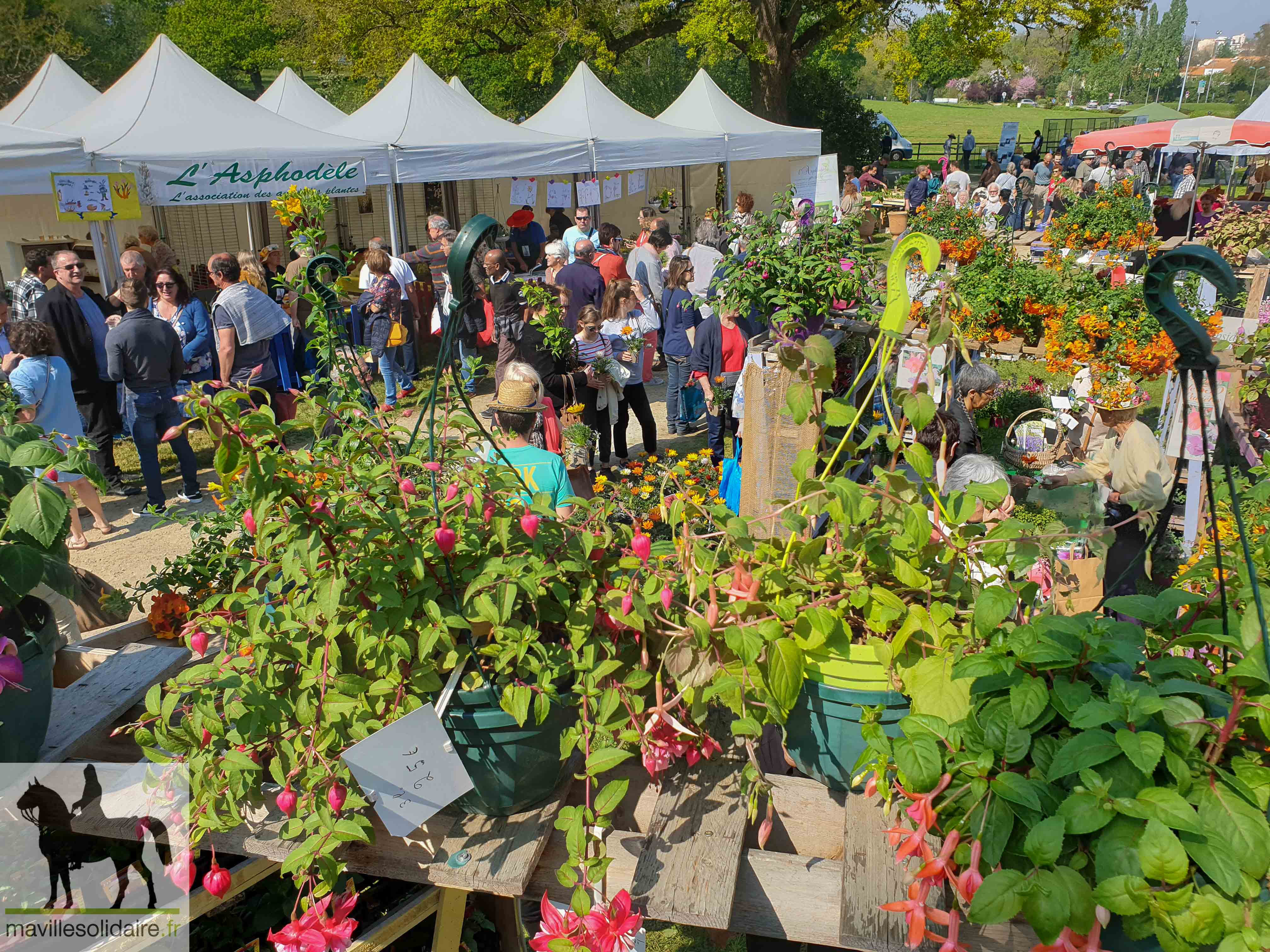 FETE DES PLANTES 7 sur 18