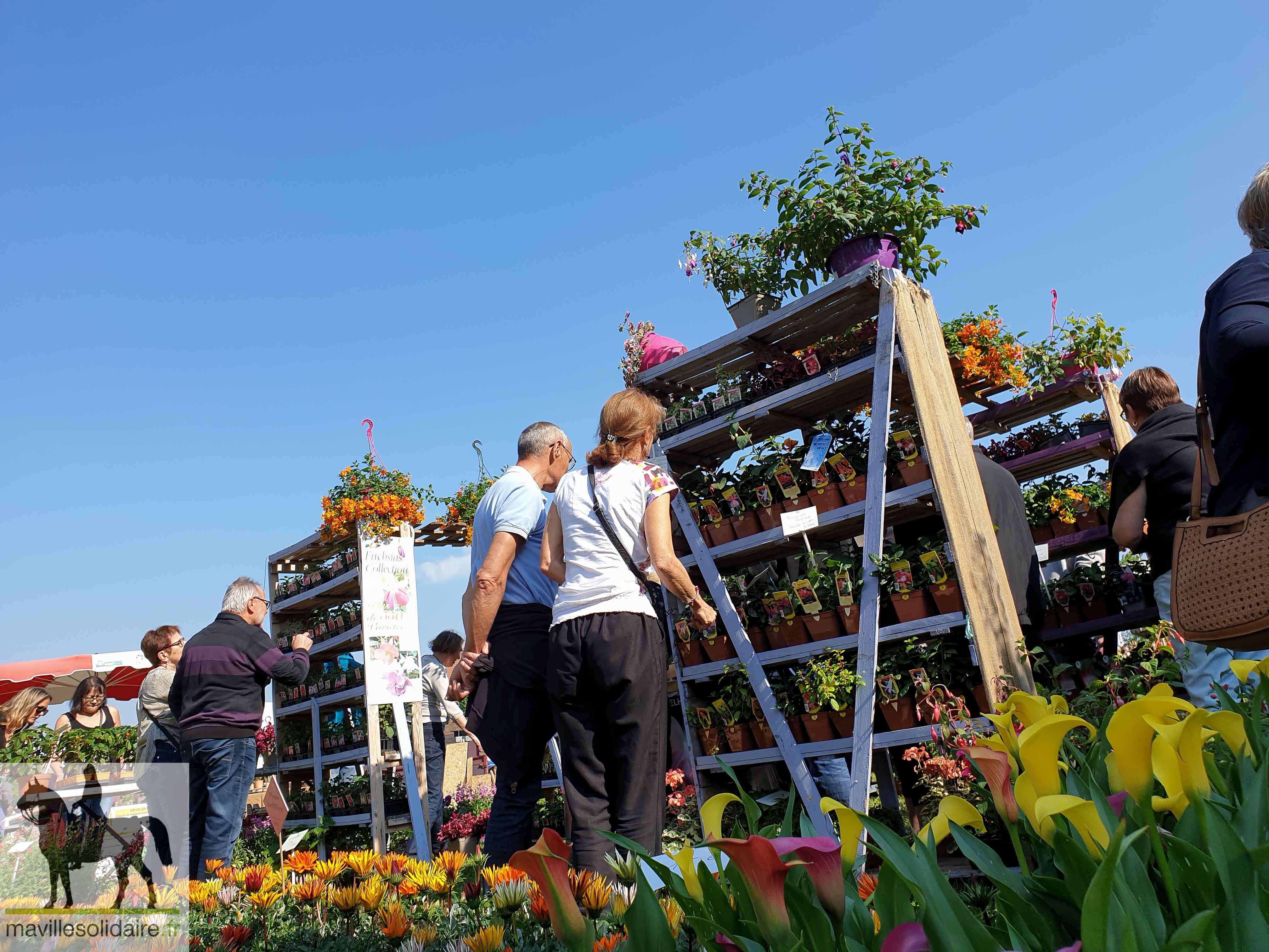 FETE DES PLANTES 7 sur 18