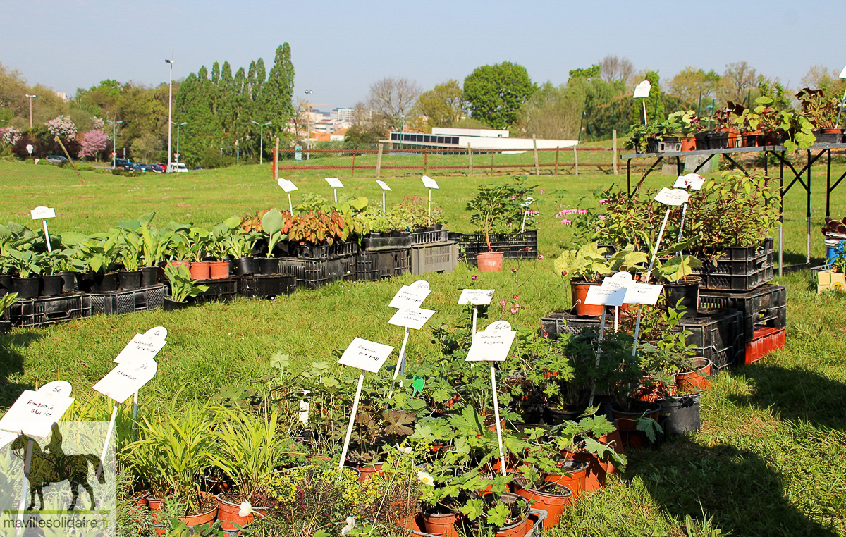 FETE DES PLANTES 1 2 sur 41