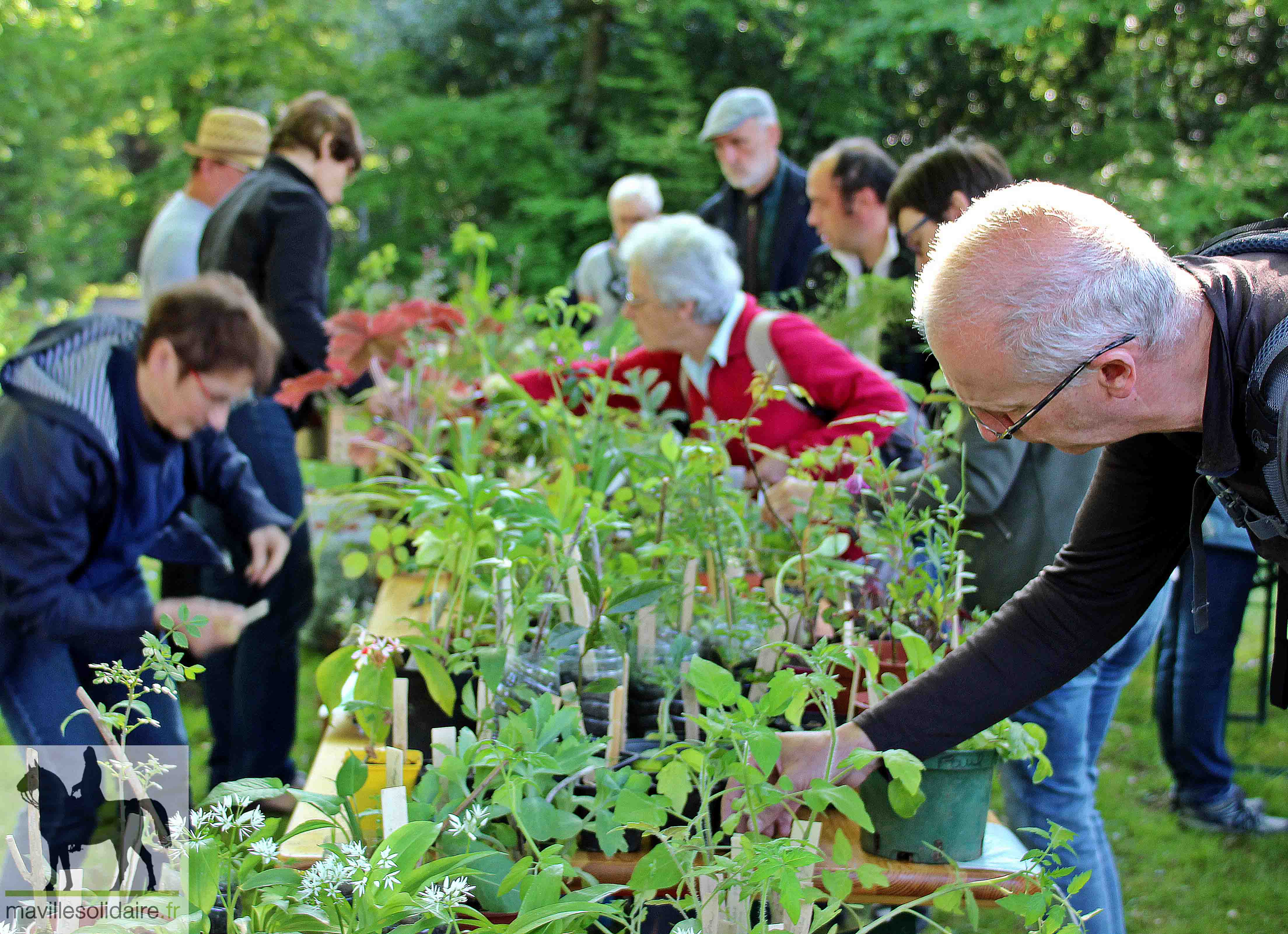 FETE DES PLANTES 1 2 sur 41