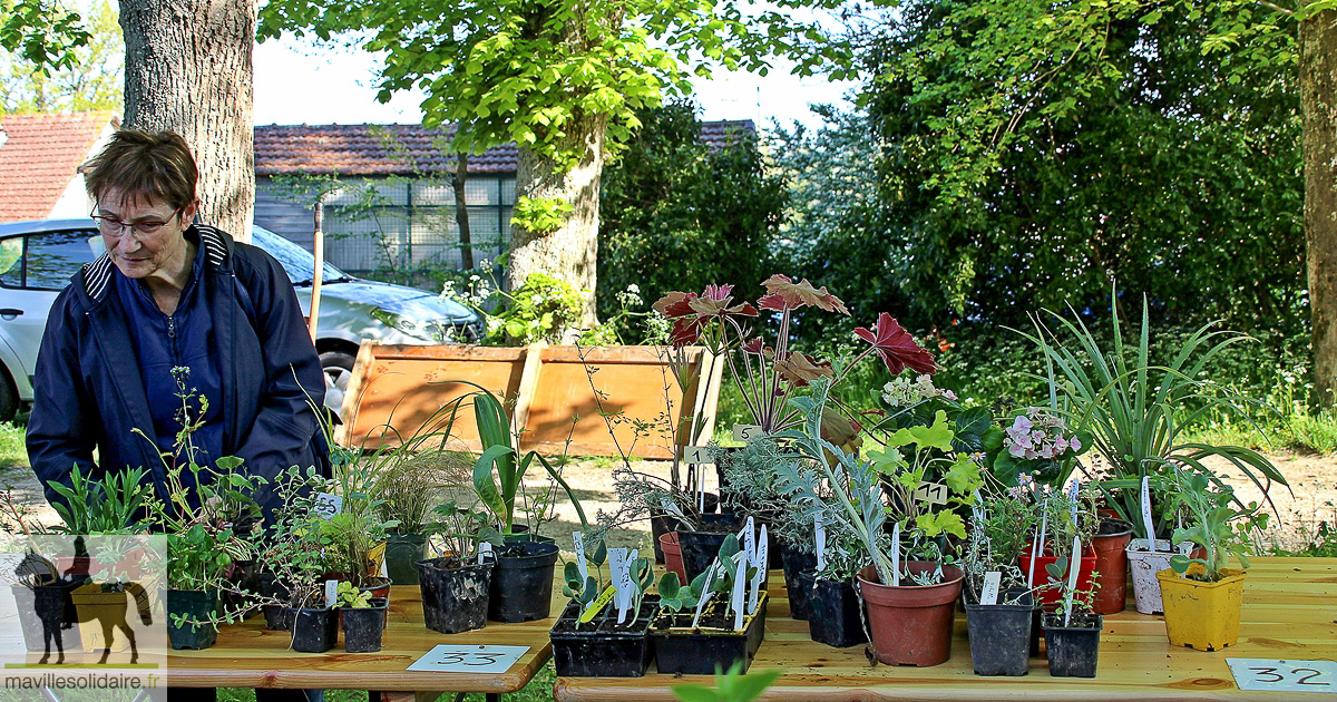 FETE DES PLANTES 1 2 sur 41