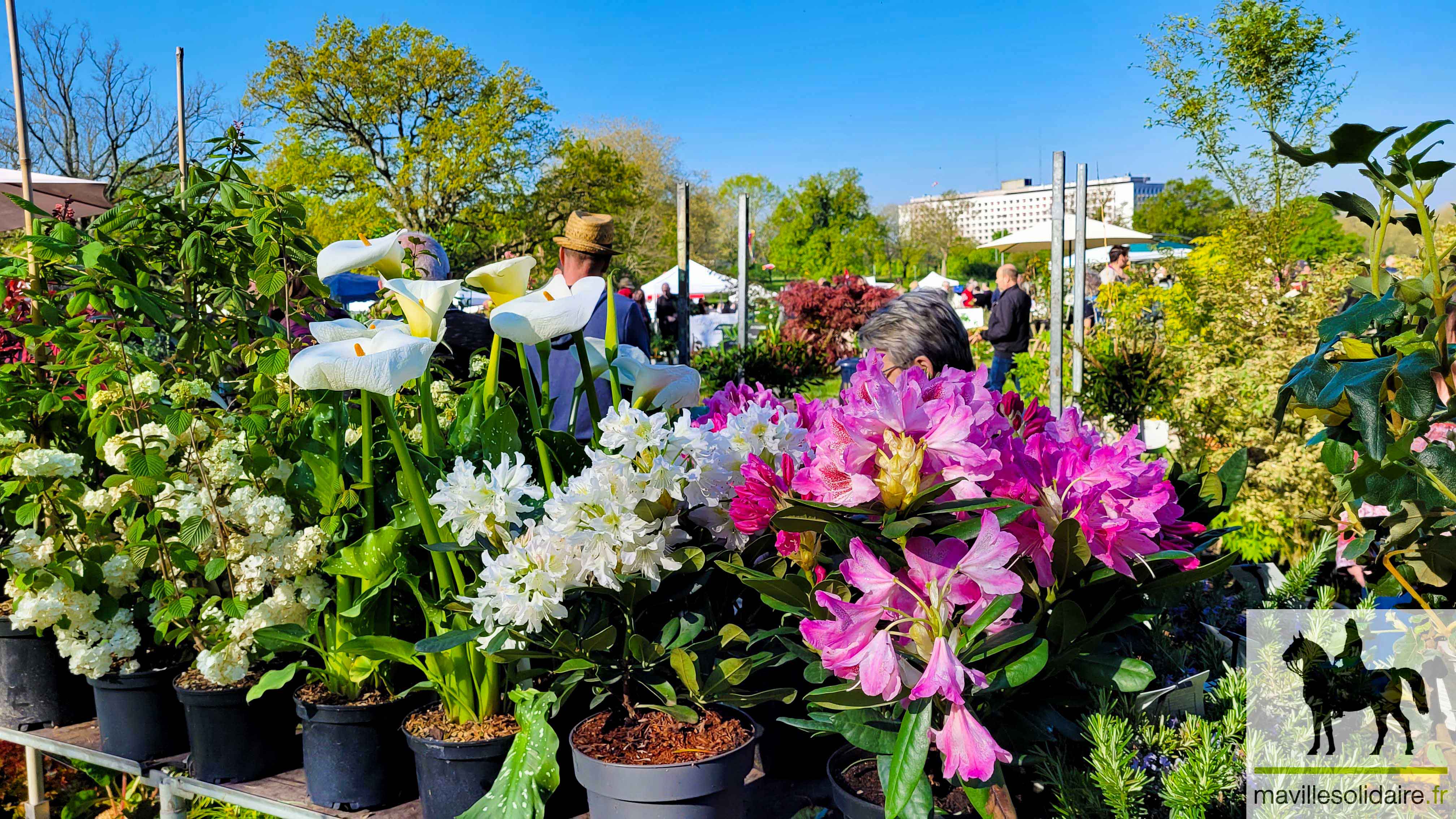 FETE DES PLANTES 2022 La Roche sur Yon LRSY mavillesolidaire.fr 3