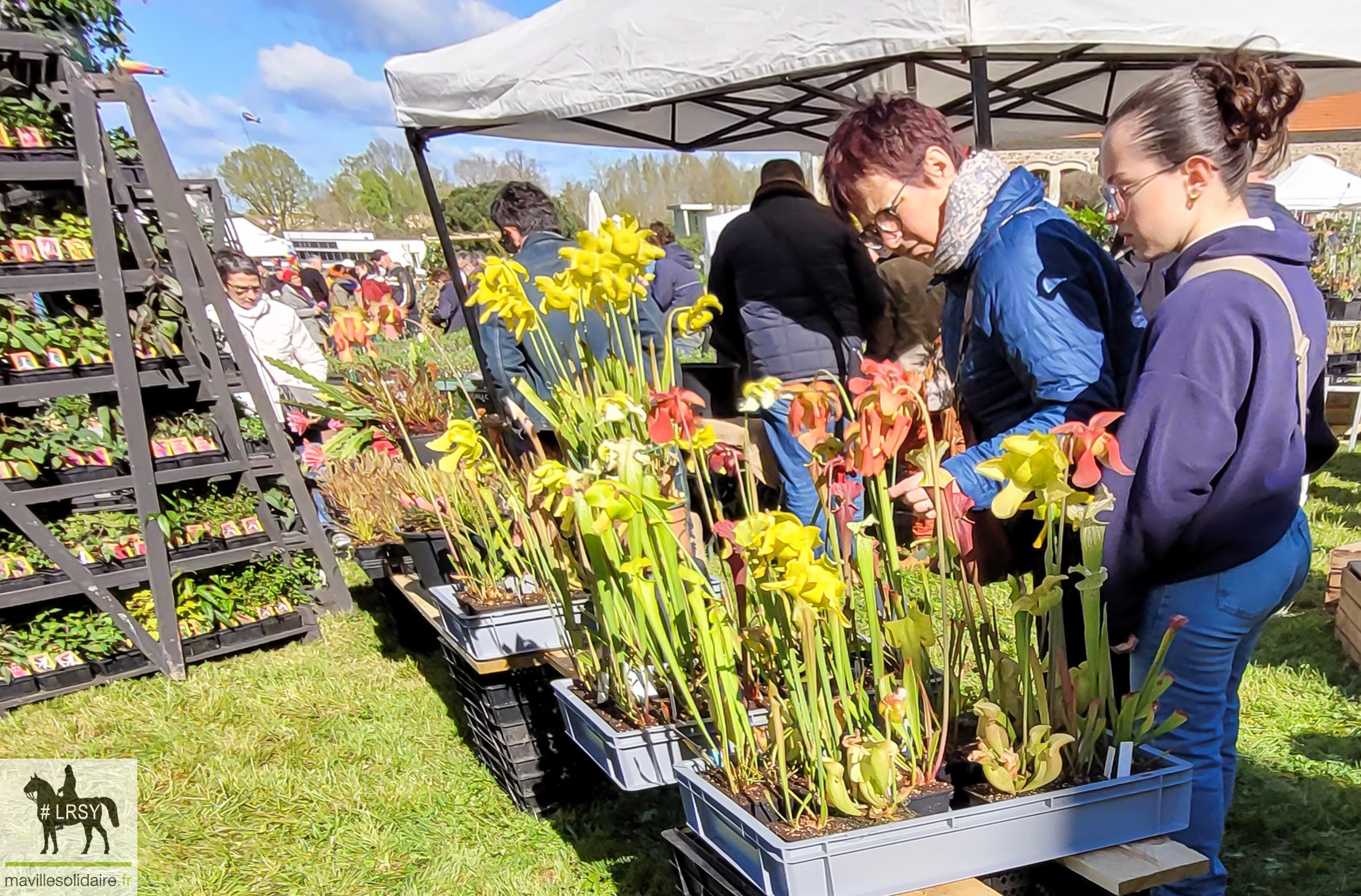 Fêtes des plantes 2023 25