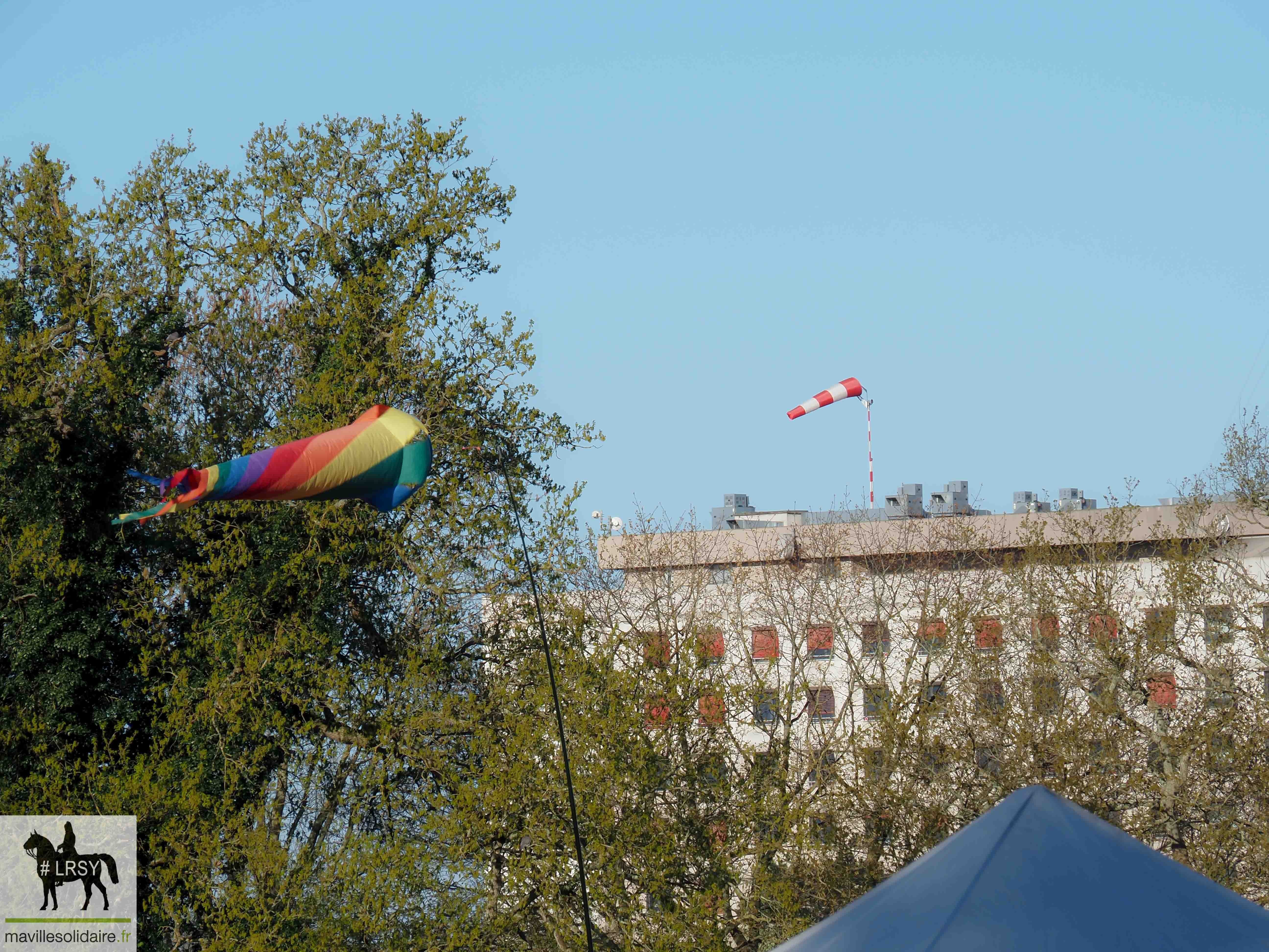 Fêtes des plantes 2023 5