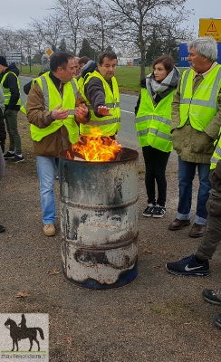 gilet jaune 17 nov 20181117 1169458584