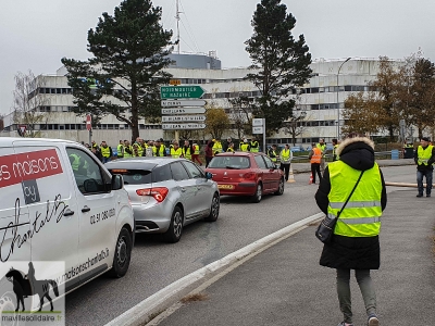 gilet jaune 17 nov 20181117 1169458584