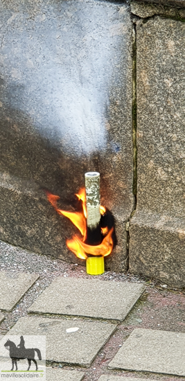  9 fev GILETS JAUNES la roche sur yon manifestation régionale 3