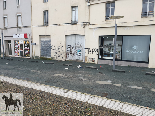  9 fev GILETS JAUNES la roche sur yon manifestation régionale 3 9