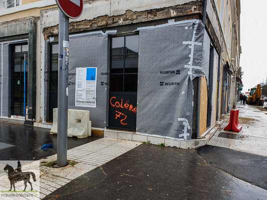  9 fev GILETS JAUNES la roche sur yon manifestation régionale 3 9