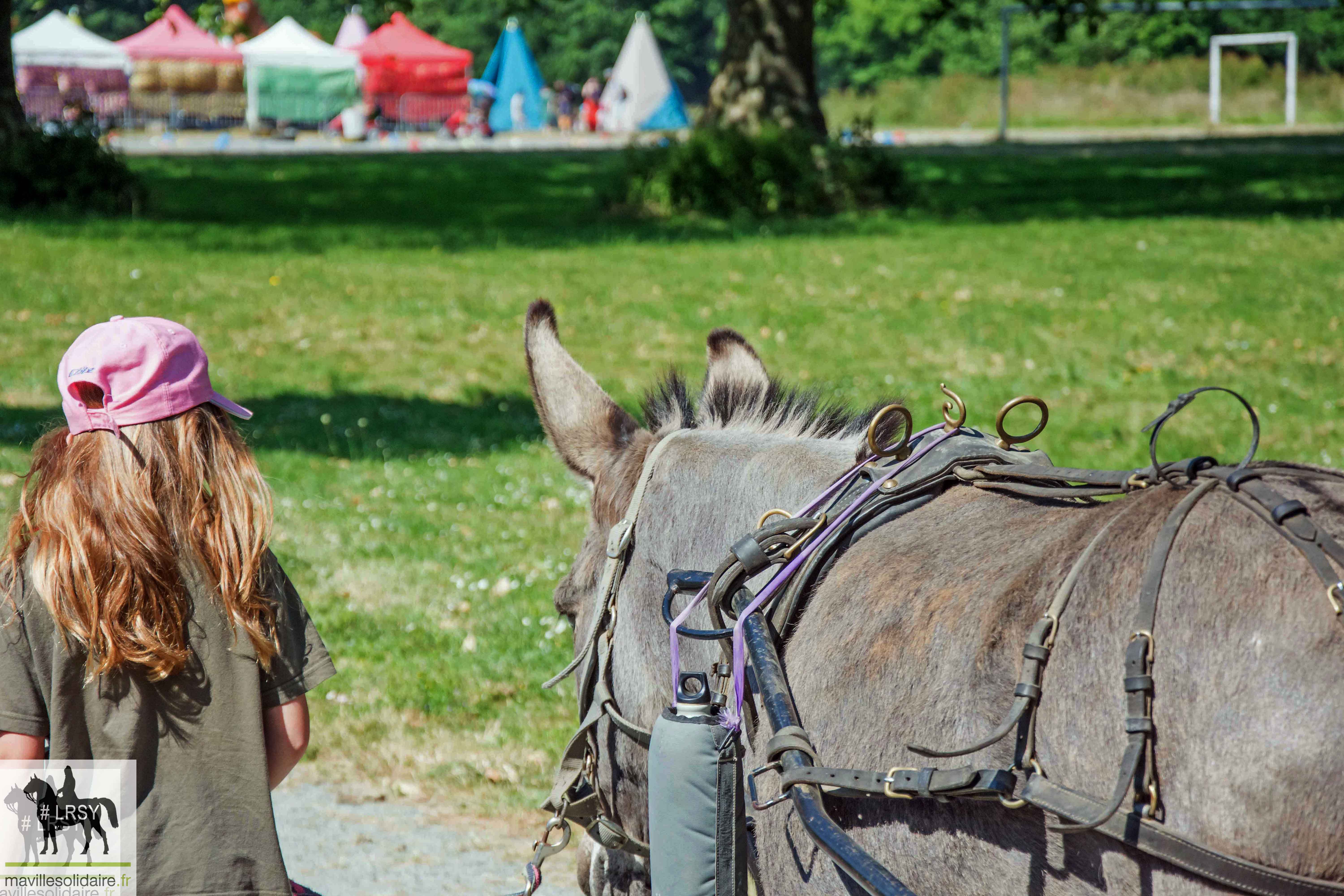 la vallée fait son cirque AP1 9 mavillesolidaire.fr 6