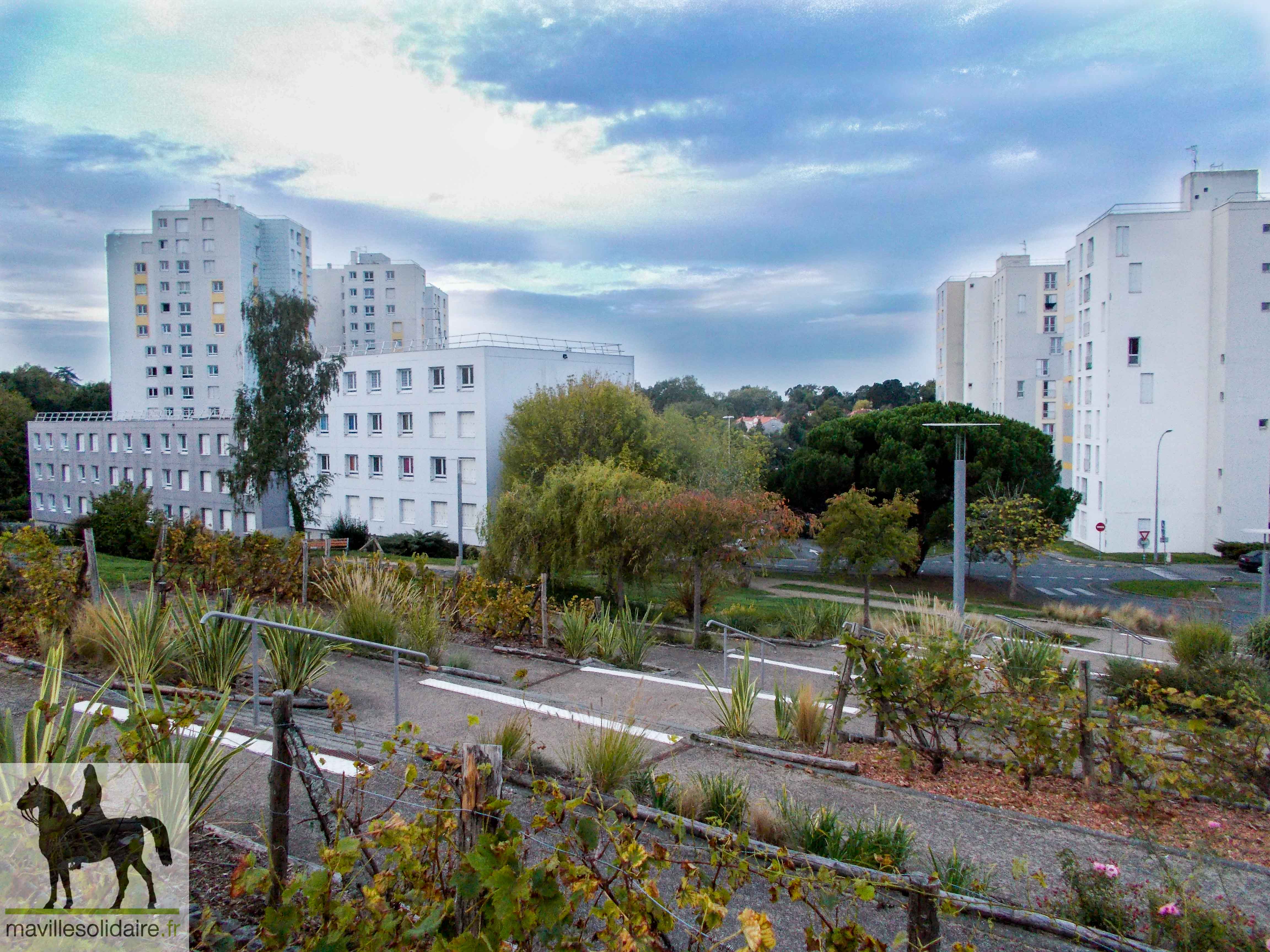 RENOVATION LA VIGNE AUX ROSES 2 sur 2