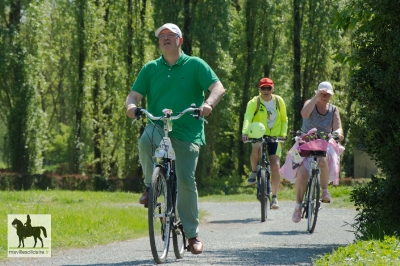 ainsi danse 100 jours avant le depart du tour de france rando vintage 20180421 1016465177